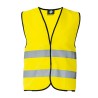 Signal Yellow