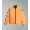 Orange Mock