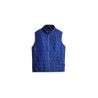 Blue Mazarin