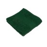 BOTTLE GREEN