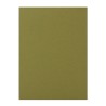abeille olive