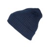 Insignia Blue