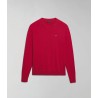 Red Barberry