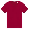 Hibiscus Red