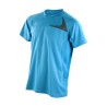 Aqua/Grey