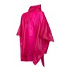 Fuchsia Fuchsia